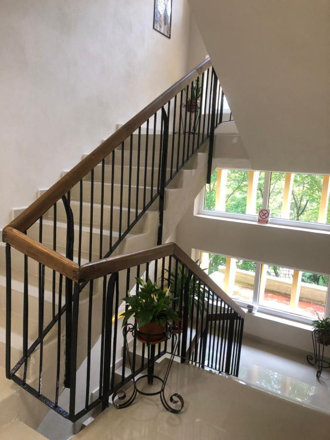 Casa Bocan Geoagiu Bai Ngoại thất bức ảnh